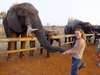 Leanne Rodney - feeding elephants at Victoria Falls